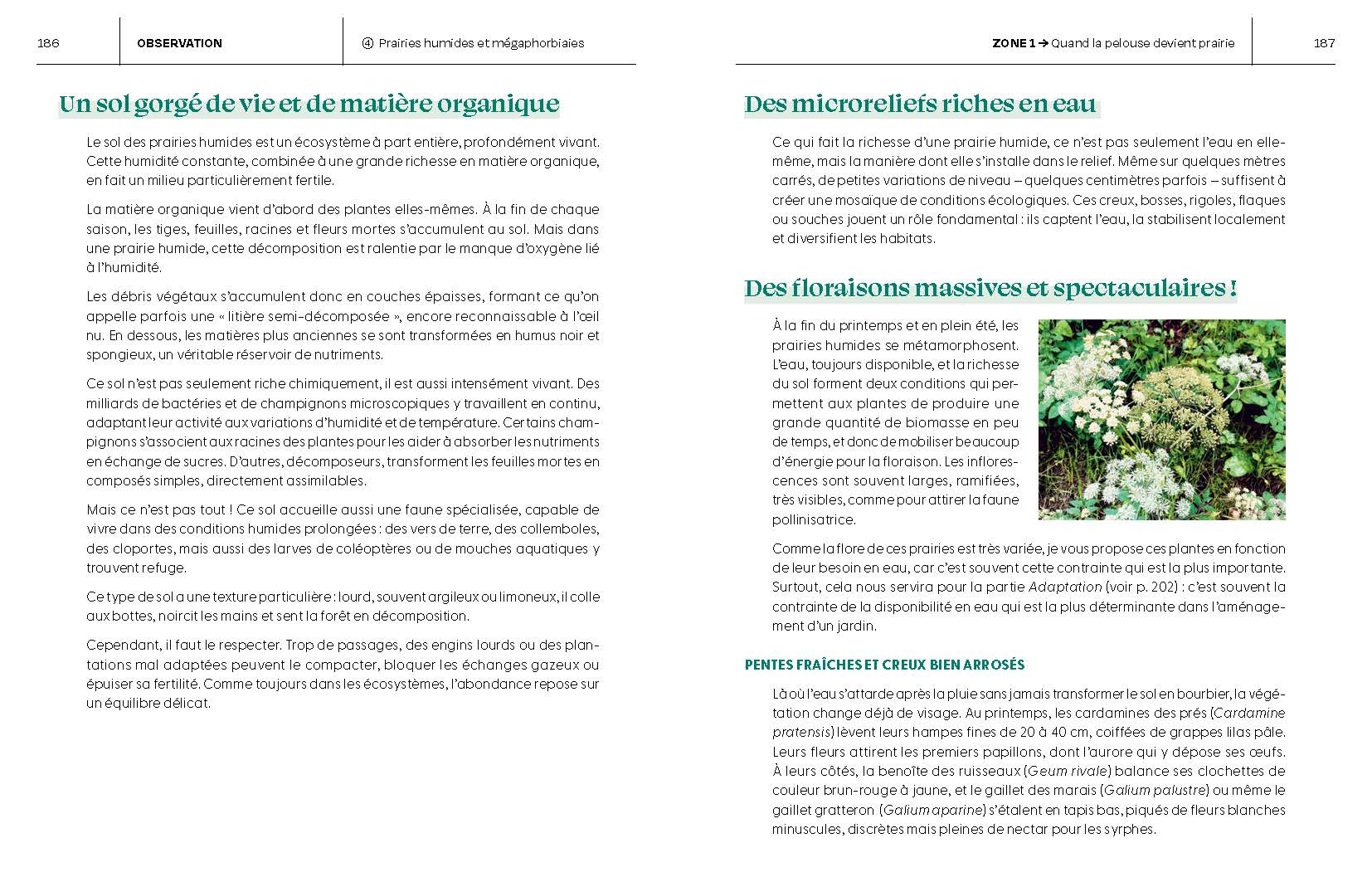 Le Guide pour réensauvager les jardins - Image 8