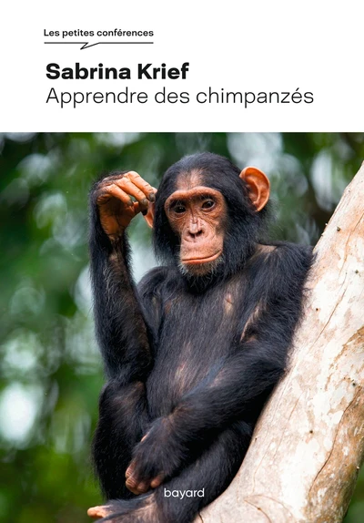 Apprendre des chimpanzés - Image 2