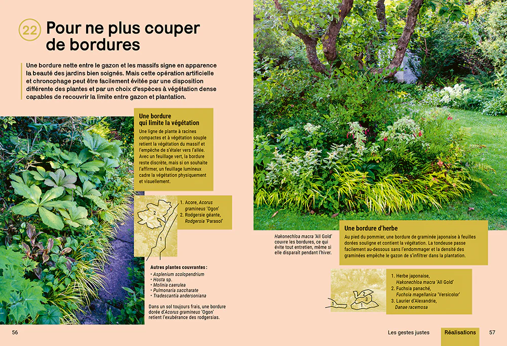 Créer un beau jardin sans corvées - Nouvelles techniques d'entretien - Gestion créative des plantes - En finir avec les idées fausses - Image 4