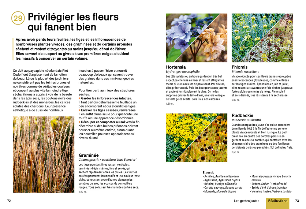 Créer un beau jardin sans corvées - Nouvelles techniques d'entretien - Gestion créative des plantes - En finir avec les idées fausses - Image 5