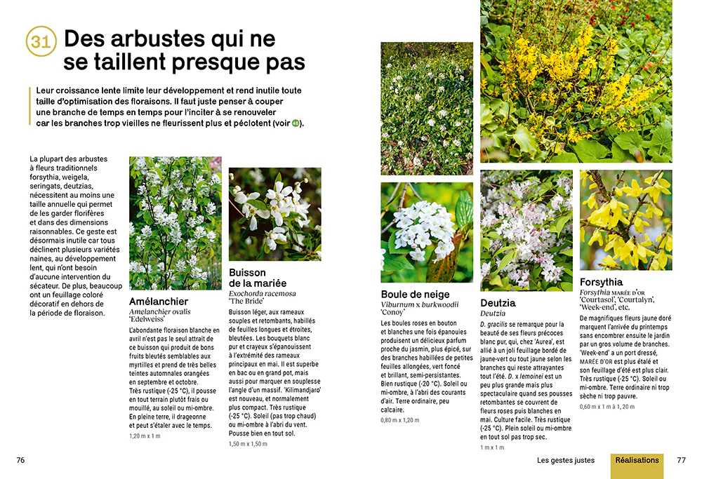 Créer un beau jardin sans corvées - Nouvelles techniques d'entretien - Gestion créative des plantes - En finir avec les idées fausses - Image 6