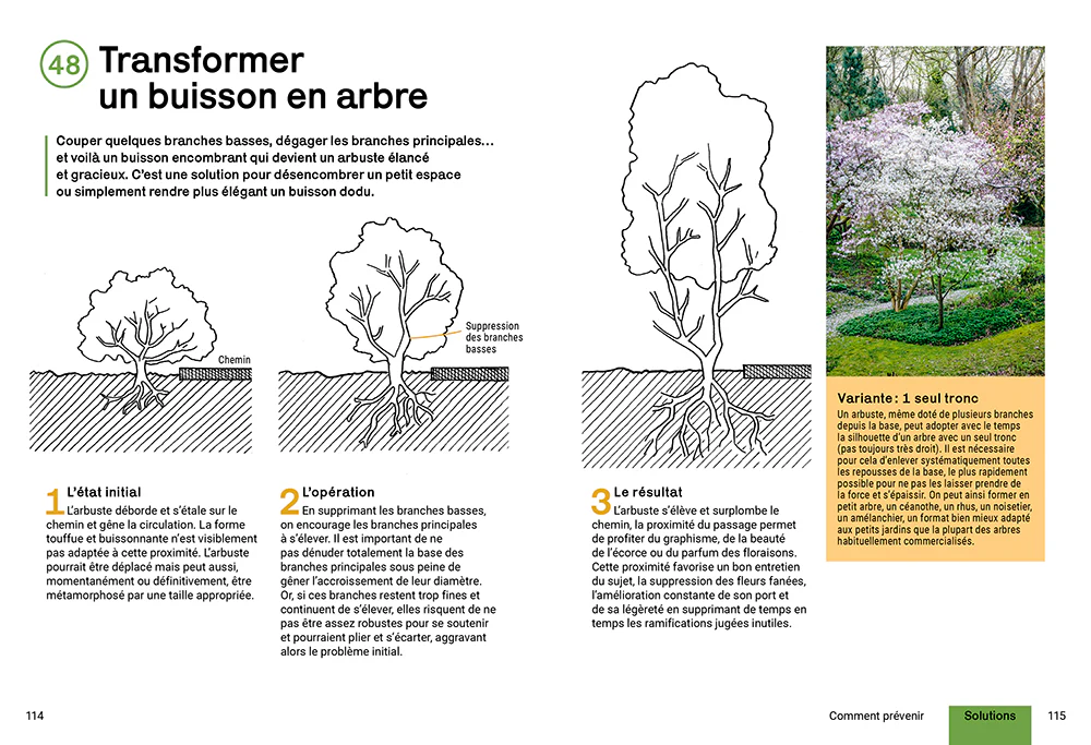 Créer un beau jardin sans corvées - Nouvelles techniques d'entretien - Gestion créative des plantes - En finir avec les idées fausses - Image 7