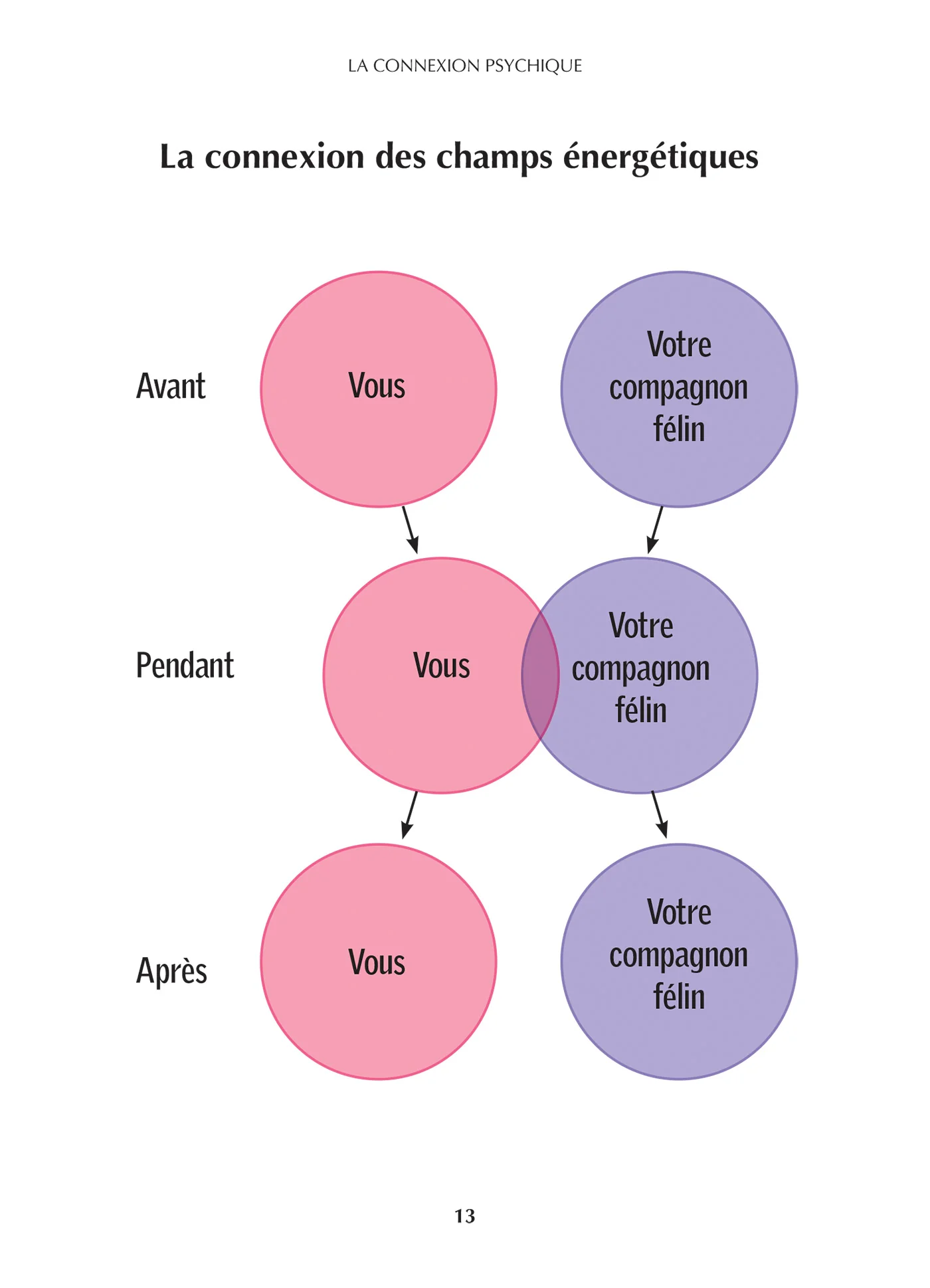 Soigner son chat grâce à ses chakras - Soins énergétiques pour un chat heureux et en bonne santé - Image 6