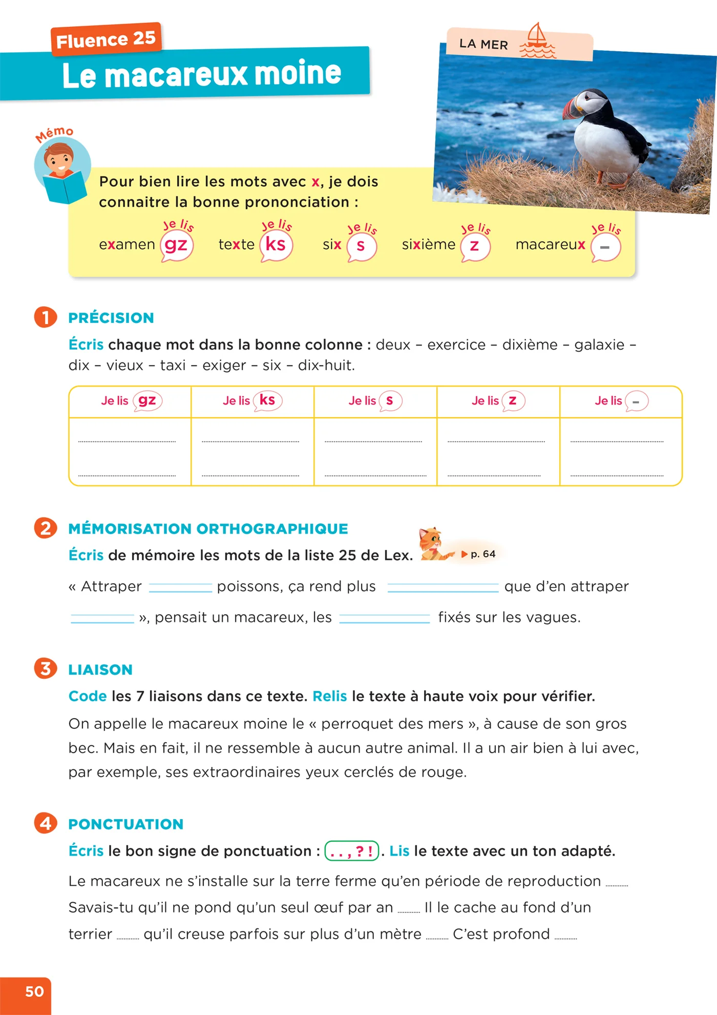 En route pour la fluence ! CE1 - Les animaux de nos régions - Ed. 2026 - Cahier élève - Image 3